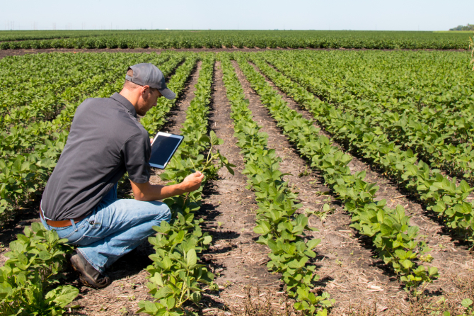 Rural & Agricultural Solutions